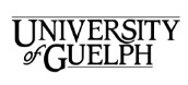 Rectangle 238
